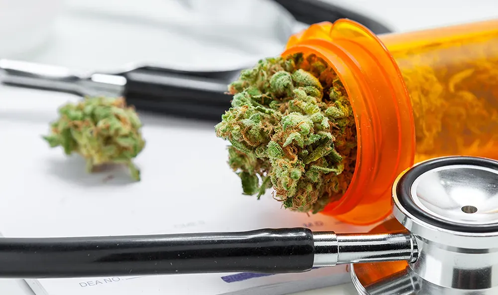 Medical Cannabis Certification